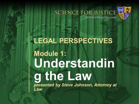 Module 1: Legal PerspectivesModule 1: Alcohol Science and the Law Module 1: Understandin g the Law presented by Steve Johnson, Attorney at Law LEGAL PERSPECTIVES.