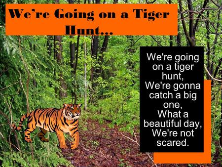 We’re Going on a Tiger Hunt…