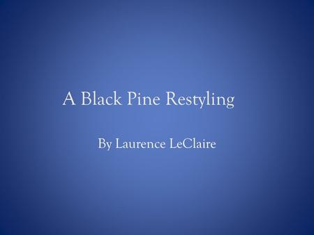 A Black Pine Restyling By Laurence LeClaire. Introduction In June 2007, I purchased a Japanese Black Pine from Ruben Guzman’s garden (a longtime Danville,