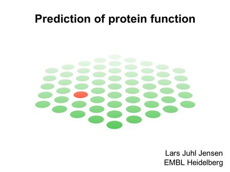 Prediction of protein function Lars Juhl Jensen EMBL Heidelberg.