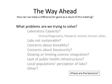 The Way Ahead How can we make a difference for good as a result of this meeting? What problems are we trying to solve? Laboratory Capacity? Clinical/Diagnostics,