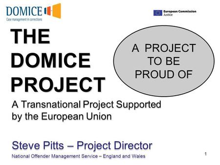 THE DOMICE PROJECT A Transnational Project Supported by the European Union Steve Pitts – Project Director National Offender Management Service – England.