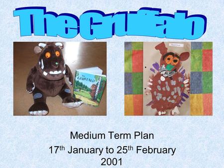 Medium Term Plan 17 th January to 25 th February 2001.