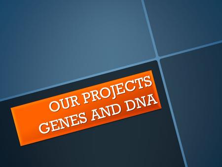 OUR PROJECTS GENES AND DNA. HOW DID WE START? Paragraph headings We went through the Biology File, read the text, looked up new words and answered the.