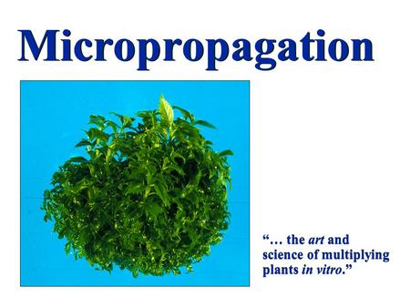 Micropropagation “… the art and science of multiplying plants in vitro.”