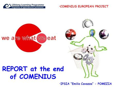 REPORT at the end of COMENIUS COMENIUS EUROPEAN PROJECT IPSIA “Emilio Cavazza” - POMEZIA.