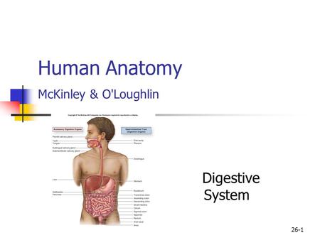 Human Anatomy McKinley & O'Loughlin