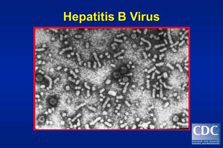 Hepatitis B Virus. Hepatitis B - Clinical Features Incubation period:Average 60-90 days Range 45-180 days Clinical illness (jaundice):