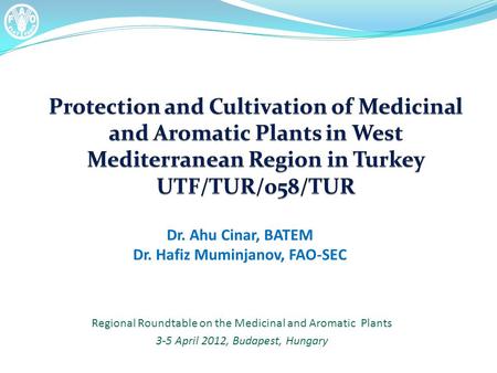 Regional Roundtable on the Medicinal and Aromatic Plants 3-5 April 2012, Budapest, Hungary Dr. Ahu Cinar, BATEM Dr. Hafiz Muminjanov, FAO-SEC.