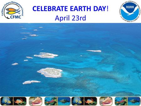 CELEBRATE EARTH DAY! April 23rd. Outreach and Education Advisory Panel (OEAP) Report to the Council 149 th CFMC Regular Meeting St.Croix, USVI.