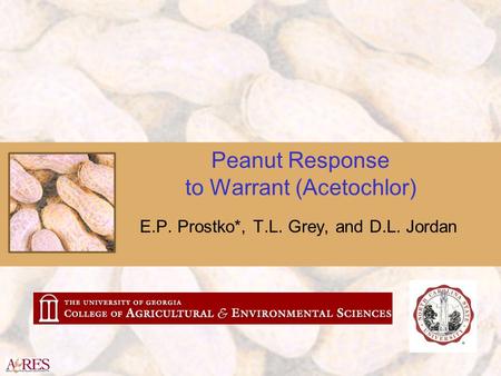 Peanut Response to Warrant (Acetochlor) E.P. Prostko*, T.L. Grey, and D.L. Jordan.