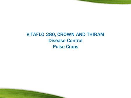 VITAFLO 280, CROWN AND THIRAM Disease Control Pulse Crops