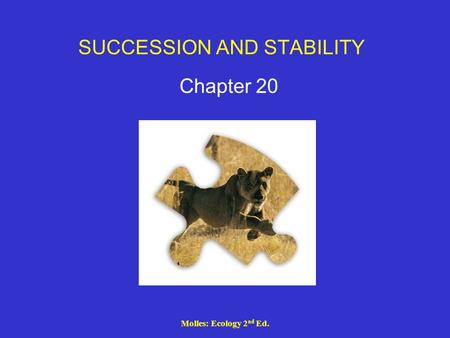 SUCCESSION AND STABILITY
