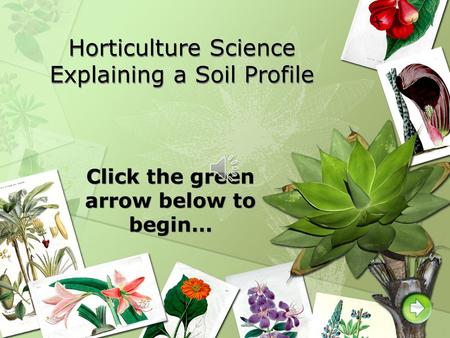 Horticulture Science Explaining a Soil Profile
