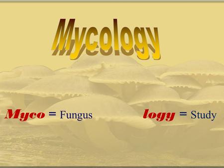 Mycology Myco = Fungus logy = Study.