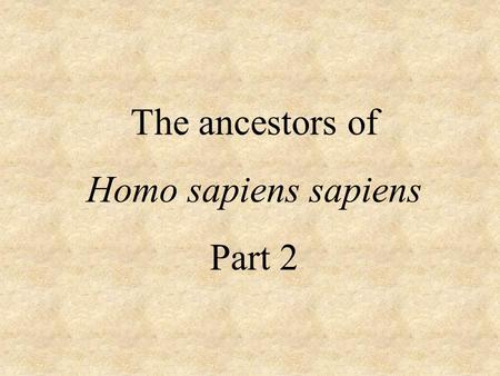 The ancestors of Homo sapiens sapiens Part 2. Australopithecus afarensis: Lived: 3.9 - 3.0 million years ago. Range: East Africa. Diet: Soft fruit, nuts,