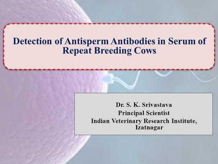 Dr. S. K. Srivastava Principal Scientist Indian Veterinary Research Institute, Izatnagar Detection of Antisperm Antibodies in Serum of Repeat Breeding.