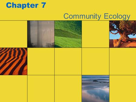 Chapter 7 Community Ecology.