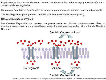 Regulación de los Canales de iones. Los canales de iones los podemos agrupar en función de su capacidad de ser regulados. Canales no Regulables. Son Canales.