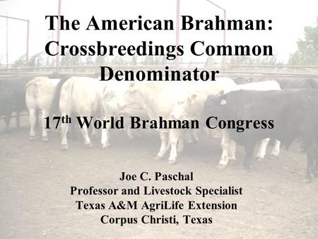 The American Brahman: Crossbreedings Common Denominator 17 th World Brahman Congress Joe C. Paschal Professor and Livestock Specialist Texas A&M AgriLife.