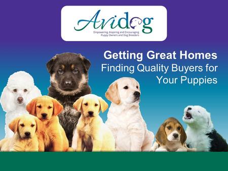 Getting Great Homes Finding Quality Buyers for Your Puppies.