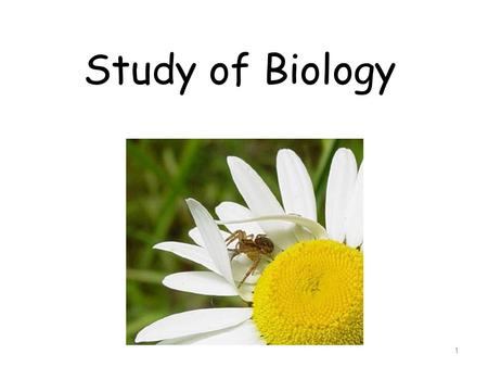 Study of Biology 1. What is Biology? Biology is the study of all living things Living things are called organisms Organisms include bacteria, protists,