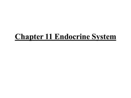 Chapter 11 Endocrine System