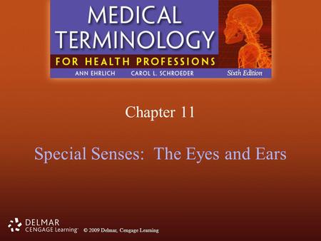 Special Senses: The Eyes and Ears