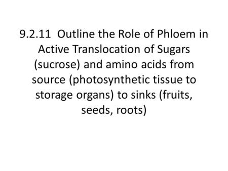 9.2.11 Outline the Role of Phloem in Active Translocation of Sugars (sucrose) and amino acids from source (photosynthetic tissue to storage organs) to.