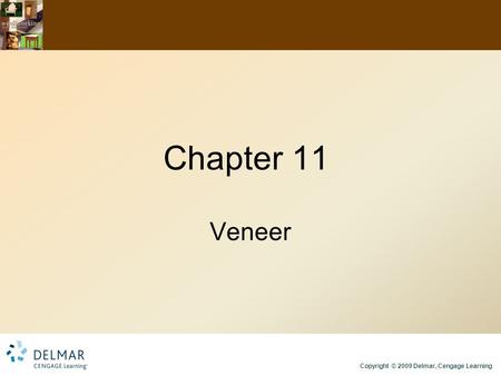 Copyright © 2009 Delmar, Cengage Learning Chapter 11 Veneer.
