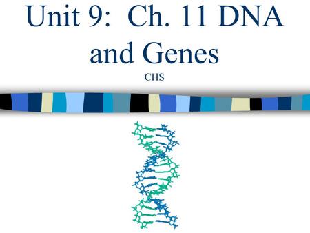 Unit 9: Ch. 11 DNA and Genes CHS. Key Terms to watch for: DNARNA EnzymesNucleotides CytosineWatson and Crick AdenineGuanine ThymineNucleotide ReplicationProtein.