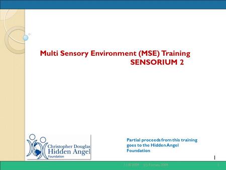 1 Multi Sensory Environment (MSE) Training SENSORIUM 2 Partial proceeds from this training goes to the Hidden Angel Foundation 11/8/20091(c) Fornes, 2009.