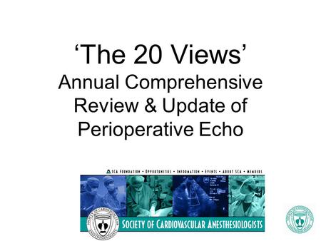 LV axis model. ‘The 20 Views’ Annual Comprehensive Review & Update of Perioperative Echo.
