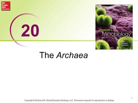 The Archaea 1 20 Copyright © McGraw-Hill Global Education Holdings, LLC. Permission required for reproduction or display.