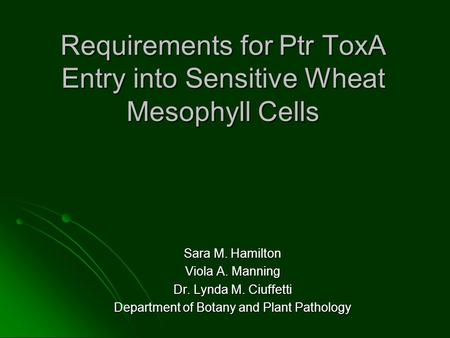 Requirements for Ptr ToxA Entry into Sensitive Wheat Mesophyll Cells Sara M. Hamilton Viola A. Manning Dr. Lynda M. Ciuffetti Department of Botany and.
