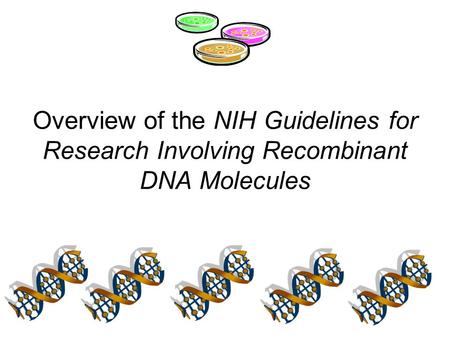 What are the NIH Guidelines for Research Involving Recombinant DNA Molecules?