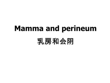 Mamma and perineum 乳房和会阴.