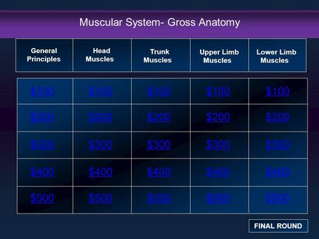Muscular System- Gross Anatomy