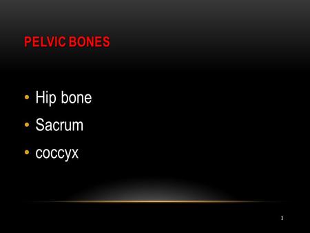 PELVIC BONES Hip bone Sacrum coccyx 1.