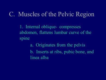 C. Muscles of the Pelvic Region