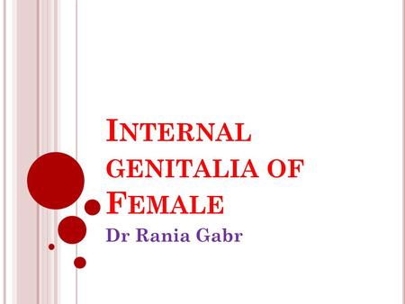 Internal genitalia of Female