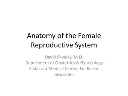 Anatomy of the Female Reproductive System David Shveiky, M.D. Department of Obstetrics & Gynecology Hadassah Medical Center, Ein Kerem Jerusalem.