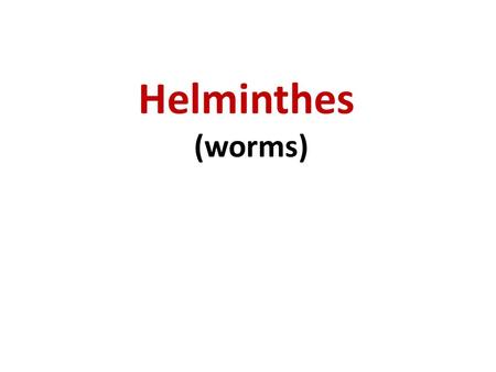 Helminthes (worms).