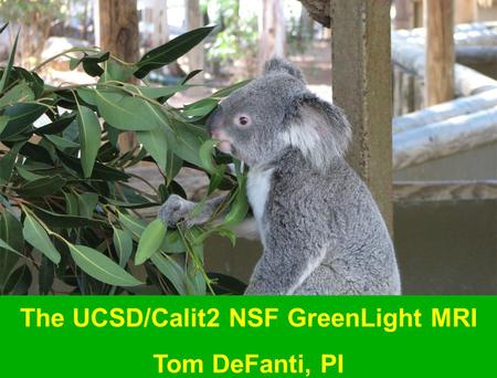 The UCSD/Calit2 NSF GreenLight MRI Tom DeFanti, PI.