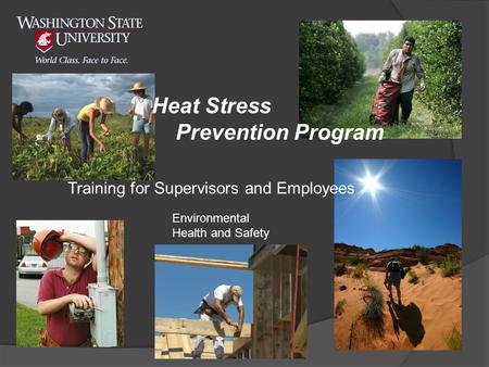Training for Supervisors and Employees