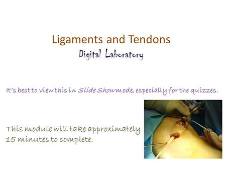 Ligaments and Tendons Digital Laboratory It’s best to view this in Slide Show mode, especially for the quizzes. This module will take approximately 15.