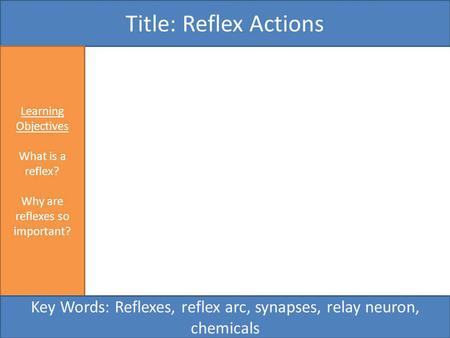 Title: Reflex Actions Learning Objectives What is a reflex?