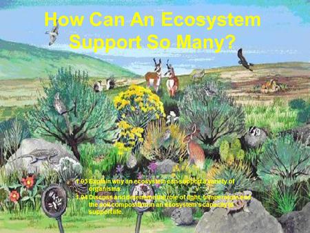 How Can An Ecosystem Support So Many? 1.03 Explain why an ecosystem can support a variety of organisms. 1.04 Discuss and determine the role of light, temperature.