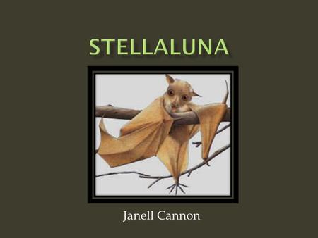 Janell Cannon. Stellaluna’s mother and Stellaluna were chased by 2 wild owls. Stellaluna’s mother accidently dropped her in the air.