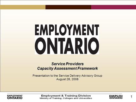 1 Service Providers Capacity Assessment Framework Presentation to the Service Delivery Advisory Group August 28, 2008.
